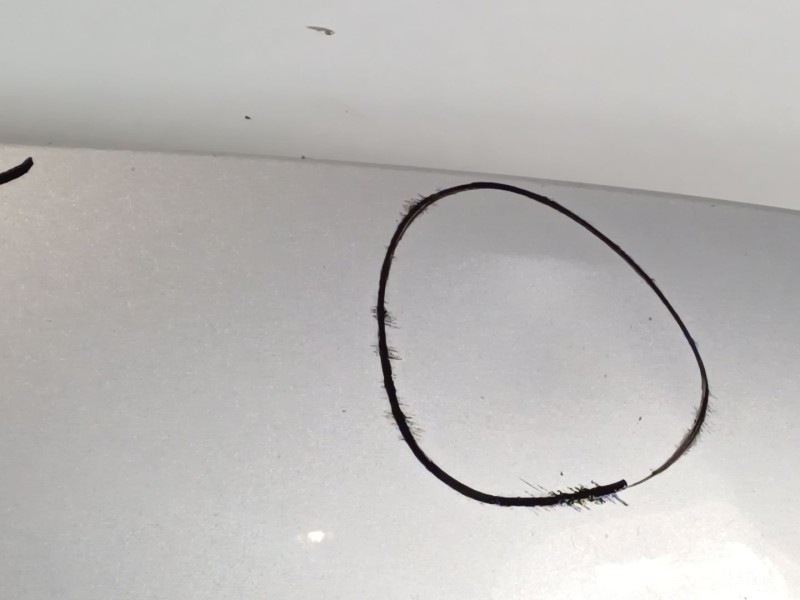 Recambio de capot para ford c-max edition referencia OEM IAM   