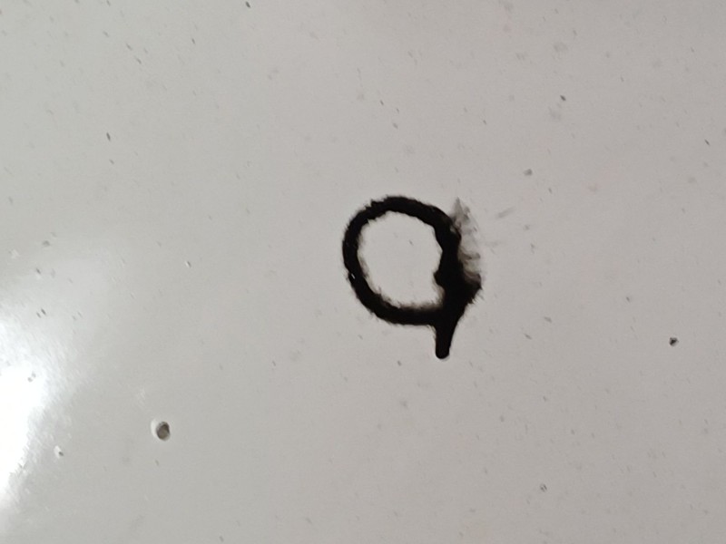 Recambio de capot para renault trafic ii caja/chasis (el) 1.9 dci 100 (el0c) referencia OEM IAM   