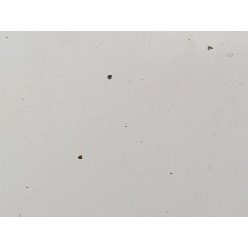 Recambio de capot para renault trafic ii caja/chasis (el) 1.9 dci 100 (el0c) referencia OEM IAM   