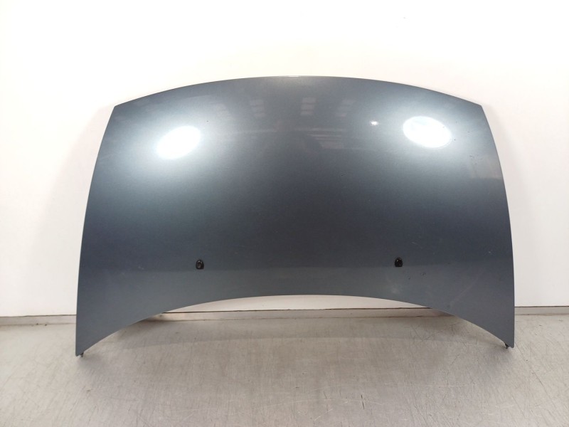 Recambio de capot para citroën c3 i (fc_, fn_) 1.4 i bivalent referencia OEM IAM    Recambio de capot para citroën c3 i (fc_, fn_) 1.4 i bivalent referencia OEM IAM