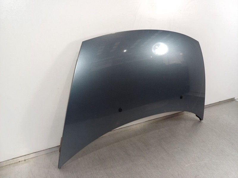 Recambio de capot para citroën c3 i (fc_, fn_) 1.4 i bivalent referencia OEM IAM    Recambio de capot para citroën c3 i (fc_, fn_) 1.4 i bivalent referencia OEM IAM