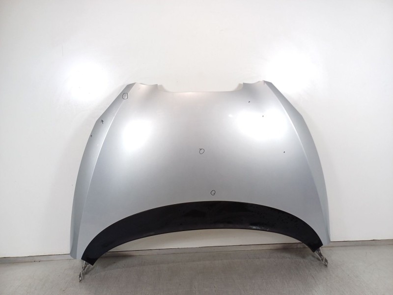 Recambio de capot para seat toledo iii (5p2) 1.9 tdi referencia OEM IAM   