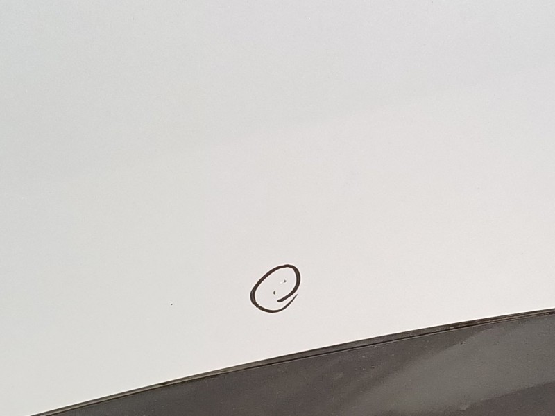 Recambio de capot para seat toledo iii (5p2) 1.9 tdi referencia OEM IAM   