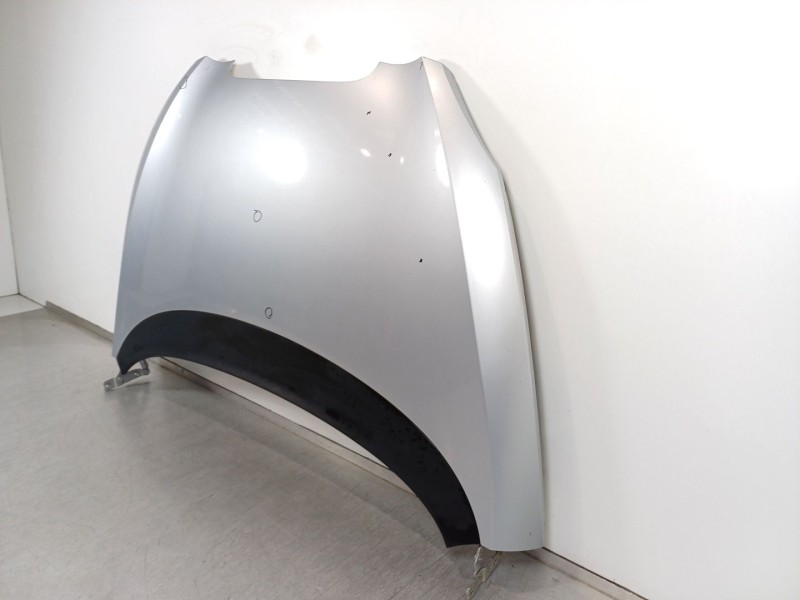 Recambio de capot para seat toledo iii (5p2) 1.9 tdi referencia OEM IAM   