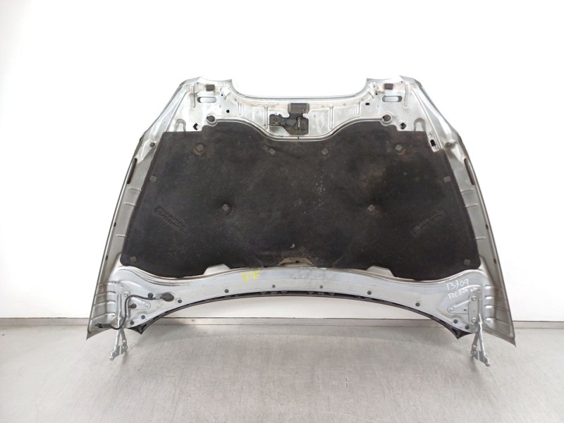Recambio de capot para seat toledo iii (5p2) 1.9 tdi referencia OEM IAM   
