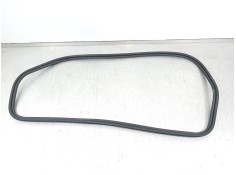 Recambio de gomas contorno puerta para bmw 4 coupé (g22, g82) m4 competition m xdrive referencia OEM IAM 51765A05999  5176747892