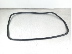 Recambio de gomas contorno puerta para bmw 4 coupé (g22, g82) m4 competition m xdrive referencia OEM IAM 51765A05999  5176747892 2