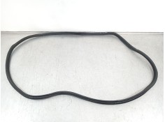 Recambio de gomas contorno puerta para bmw 4 coupé (g22, g82) m4 competition m xdrive referencia OEM IAM 51767482709  7482709 2