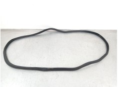 Recambio de gomas contorno puerta para bmw 4 coupé (g22, g82) m4 competition m xdrive referencia OEM IAM 51767482709  7482709