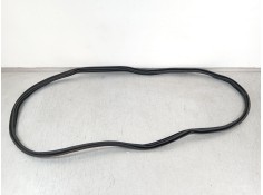 Recambio de gomas contorno puerta para bmw 4 coupé (g22, g82) m4 competition m xdrive referencia OEM IAM 51767482709  7482709 2