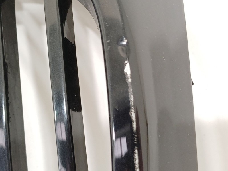 Recambio de rejilla delantera para jaguar xj (xj40, xj81) 6 3.6 referencia OEM IAM BEC5665  