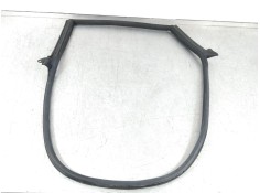 Recambio de gomas contorno puerta para audi a5 sportback (f5a) advanced quattro referencia OEM IAM 8W8833707  