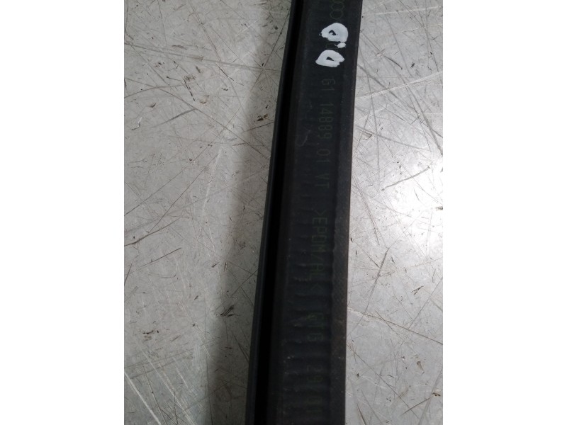 Recambio de gomas contorno puerta para audi a5 sportback (f5a) advanced quattro referencia OEM IAM 8W8831708  