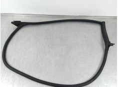 Recambio de gomas contorno puerta para audi a5 sportback (f5a) advanced quattro referencia OEM IAM 8W8831707  