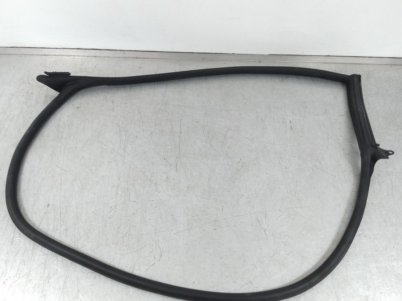 Recambio de gomas contorno puerta para audi a5 sportback (f5a) advanced quattro referencia OEM IAM 8W8831707  