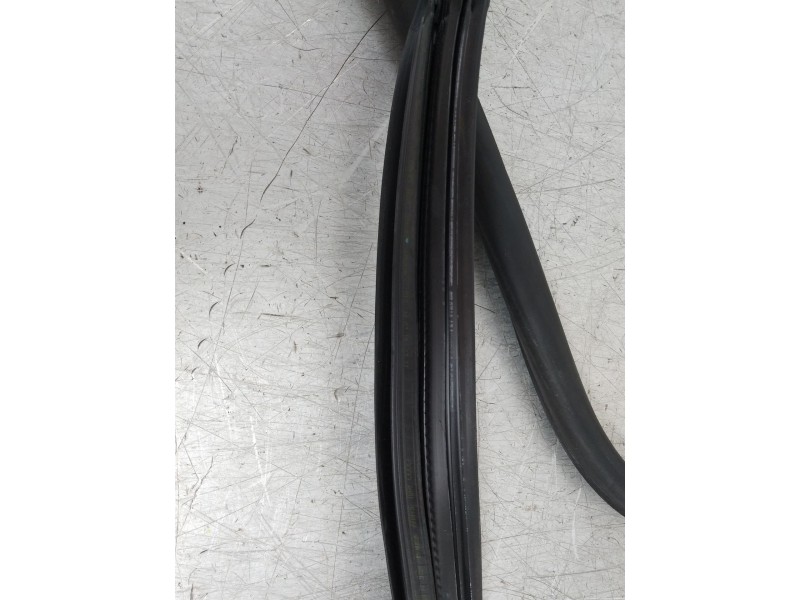 Recambio de gomas contorno puerta para audi a5 sportback (f5a) advanced quattro referencia OEM IAM 8W8831707  