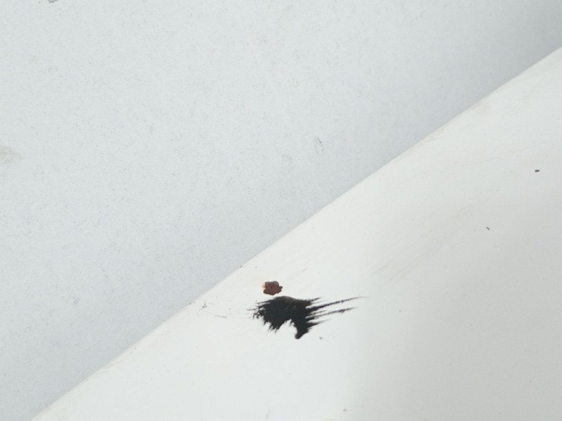 Recambio de capot para peugeot boxer furgoneta 2.2 hdi 130 referencia OEM IAM   