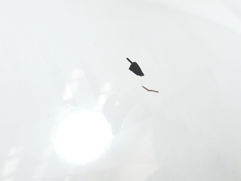 Recambio de capot para fiat ducato caja/chasis (250_) 115 multijet 2,0 d referencia OEM IAM   