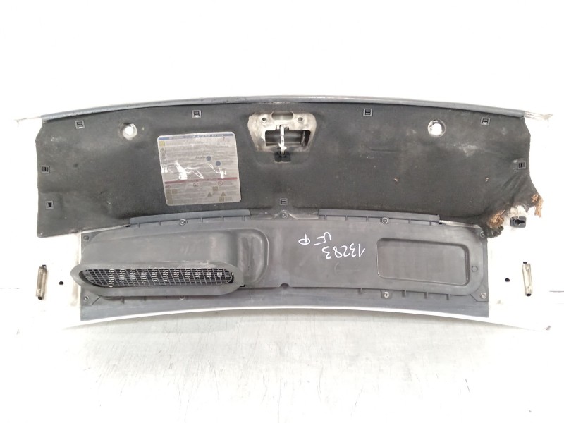 Recambio de capot para fiat ducato caja/chasis (250_) 115 multijet 2,0 d referencia OEM IAM   