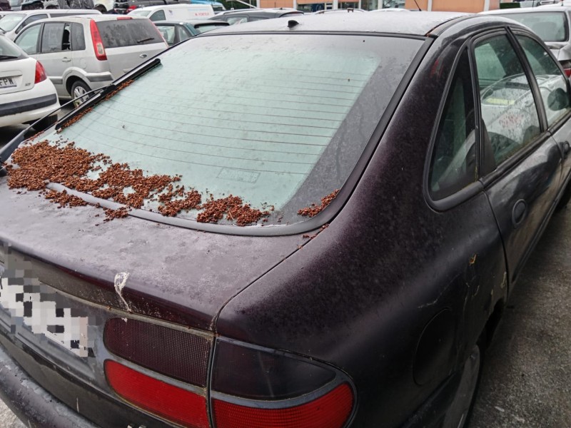 renault laguna i grandtour (k56_) del año 1995