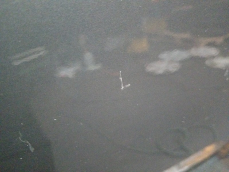 Recambio de puerta delantera derecha para suzuki swift berlina (mz) gl (3-ptas.) referencia OEM IAM   