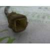 PILOTO TRASERO IZQUIERDO 3565574G0L 