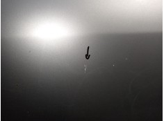 Recambio de puerta trasera izquierda para renault grand scénic iii (jz0/1_) 1.9 dci referencia OEM IAM    2