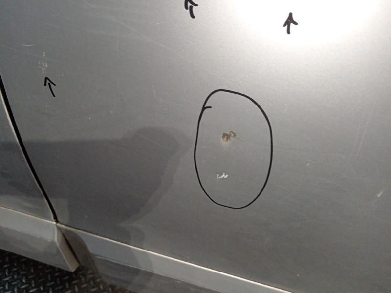 Recambio de puerta trasera izquierda para renault grand scénic iii (jz0/1_) 1.9 dci referencia OEM IAM   