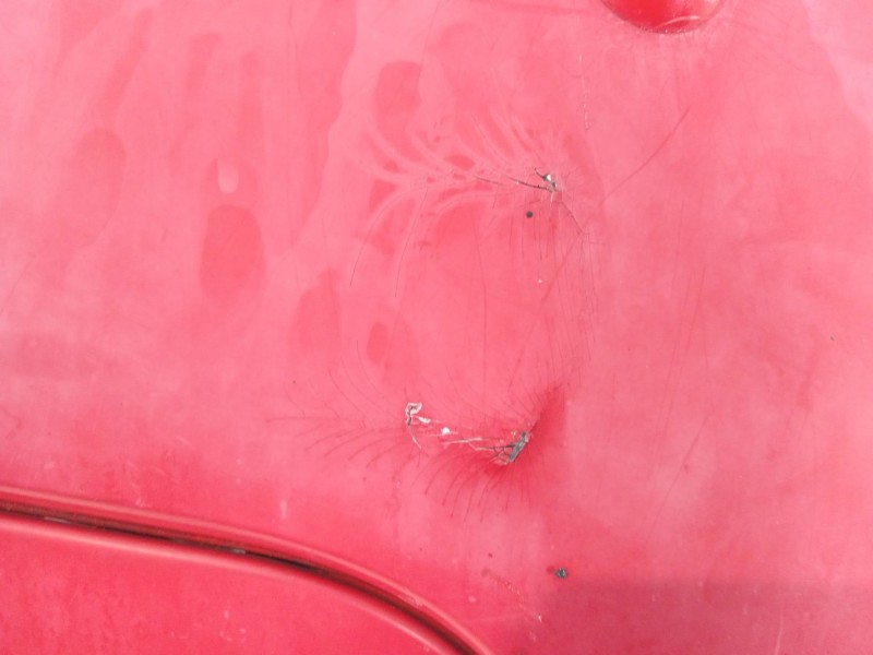 Recambio de paragolpes trasero para citroën c2 (jm_) 1.6 vts referencia OEM IAM 9643595780  