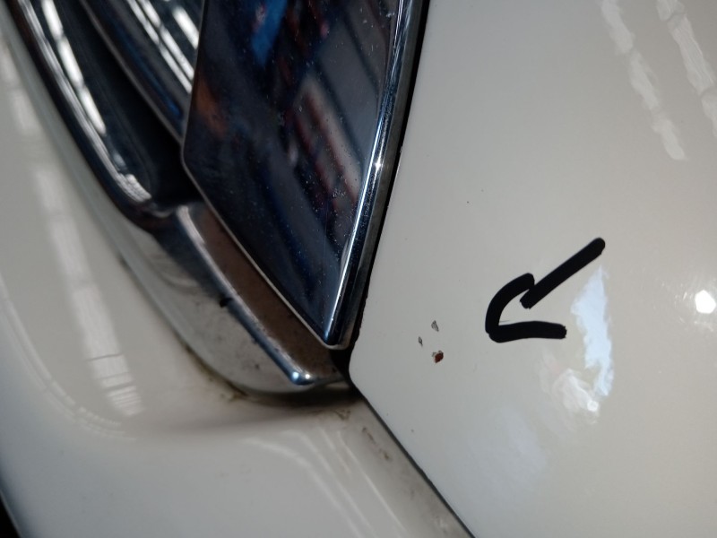 Recambio de capot para mini mini (r56) cooper referencia OEM IAM   