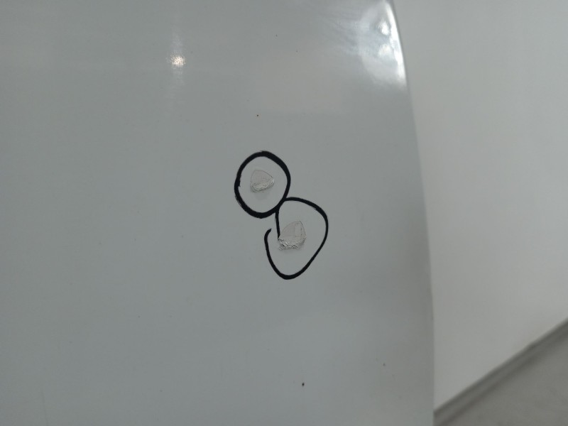 Recambio de puerta trasera derecha para renault megane iii berlina 5 p dynamique referencia OEM IAM   