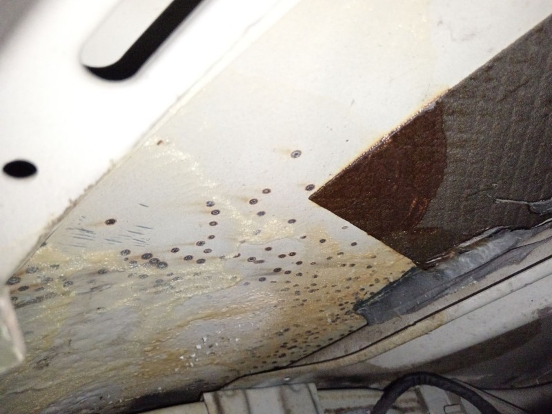 Recambio de puerta trasera derecha para mini mini (f56) cooper d referencia OEM IAM   