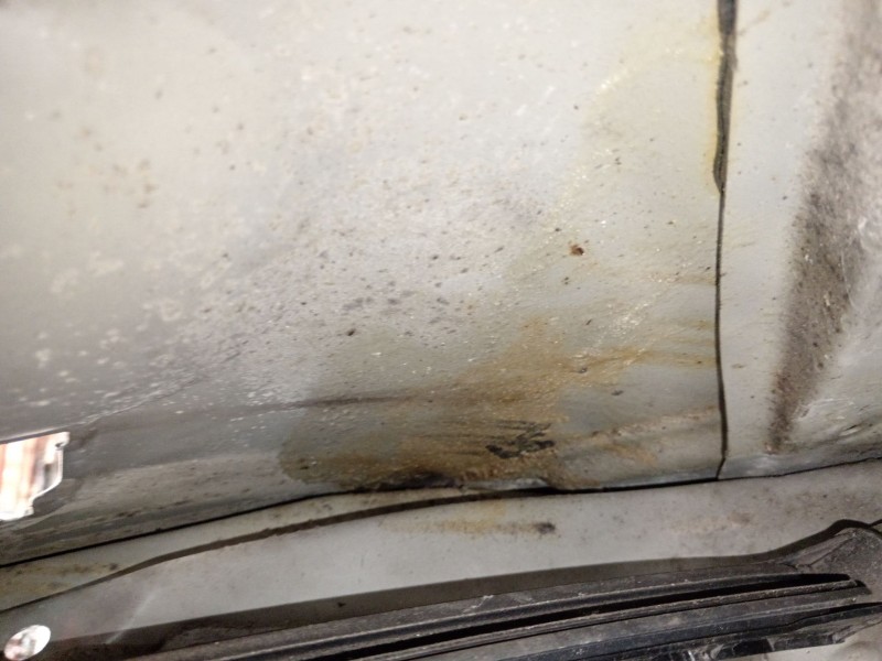 Recambio de puerta trasera izquierda para mini mini (f56) cooper d referencia OEM IAM   