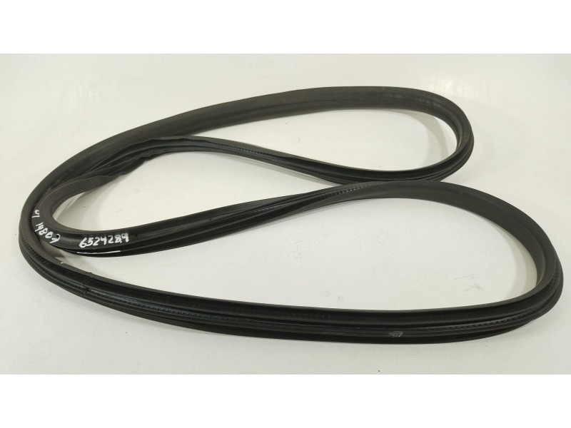 Recambio de gomas contorno puerta para ford puma (j2k, cf7) 1.0 ecoboost referencia OEM IAM L1TBS2070809AC  