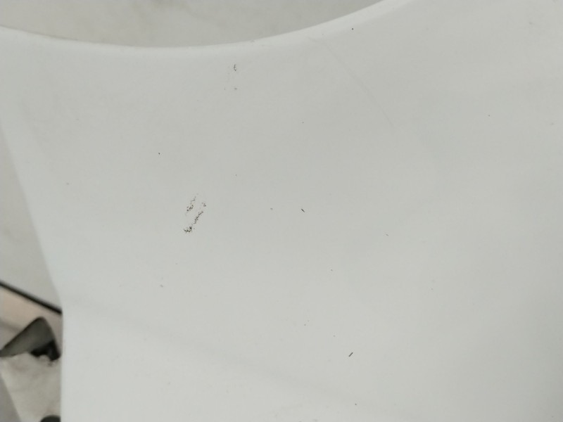 Recambio de aleta delantera izquierda para nissan primastar furgoneta (x83) 2.0 dci 115 referencia OEM IAM   