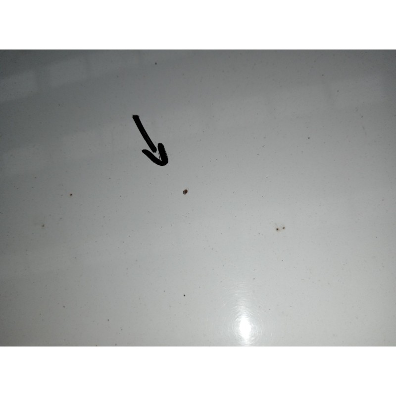 Recambio de capot para ford c-max ii (dxa/cb7, dxa/ceu) 1.5 tdci referencia OEM IAM   