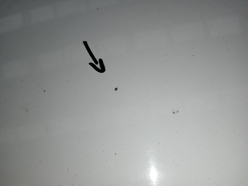 Recambio de capot para ford c-max ii (dxa/cb7, dxa/ceu) 1.5 tdci referencia OEM IAM   