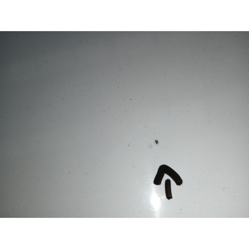 Recambio de capot para ford c-max ii (dxa/cb7, dxa/ceu) 1.5 tdci referencia OEM IAM   