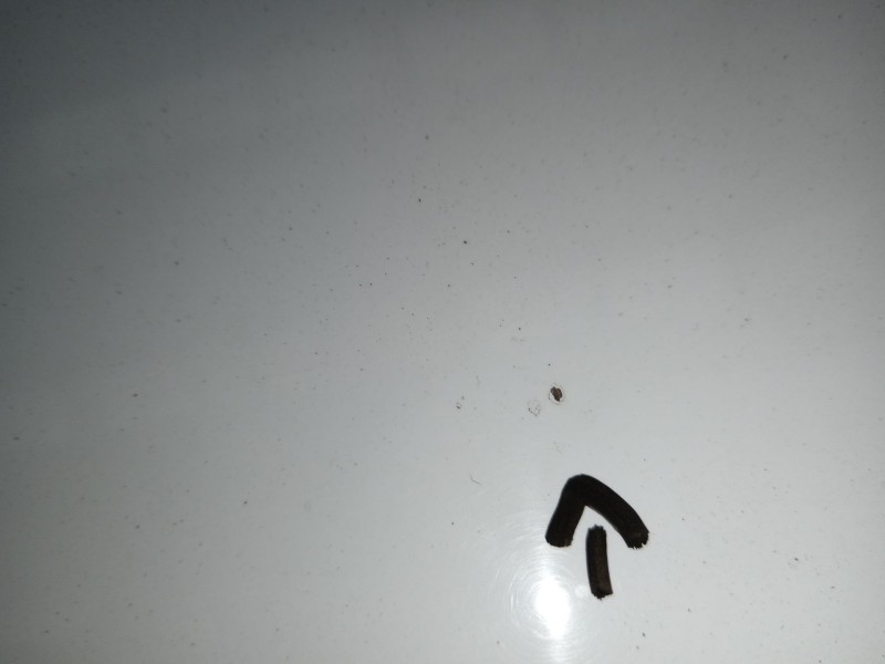 Recambio de capot para ford c-max ii (dxa/cb7, dxa/ceu) 1.5 tdci referencia OEM IAM   