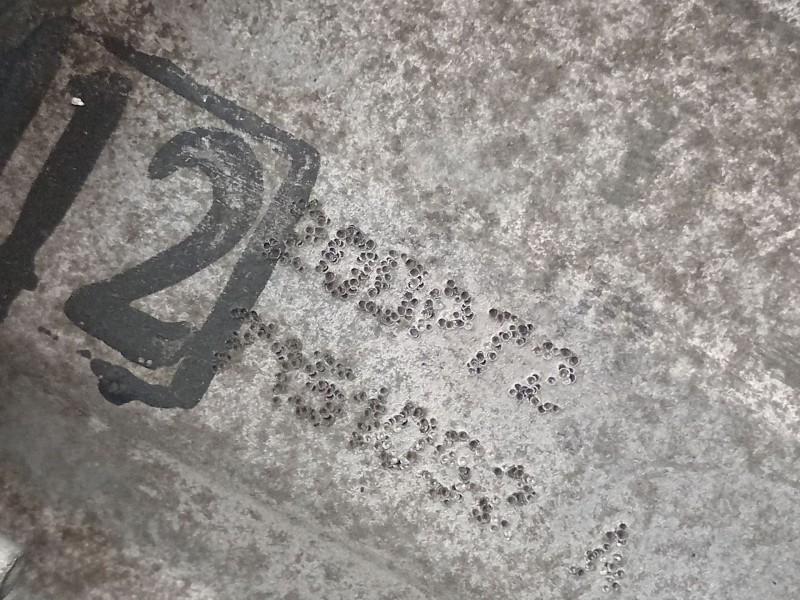 Recambio de caja cambios para citroën c4 ii (nc_) 1.6 hdi 90 referencia OEM IAM 20DP72  