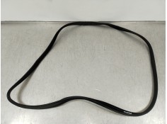 Recambio de gomas contorno puerta para hyundai kona (os, ose, osi) 1.0 t-gdi hybrid 48v referencia OEM IAM 320230831  
