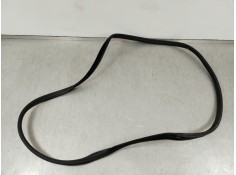 Recambio de gomas contorno puerta para hyundai kona (os, ose, osi) 1.0 t-gdi hybrid 48v referencia OEM IAM 320230901  