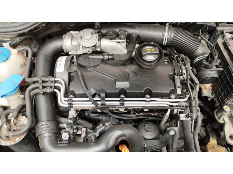 Recambio de inyector para volkswagen golf v (1k1) 1.9 tdi referencia OEM IAM 038130073AG  