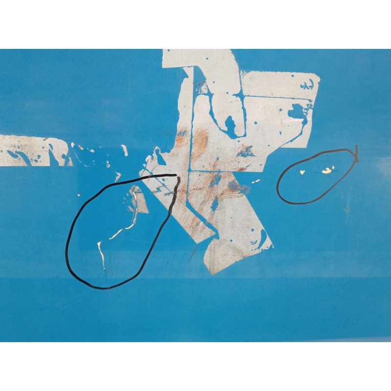 Recambio de puerta delantera izquierda para citroën jumper iii furgoneta 2.2 hdi 100 referencia OEM IAM   