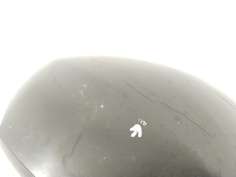 Recambio de retrovisor derecho para renault scenic iii dynamique referencia OEM IAM 963019850R  