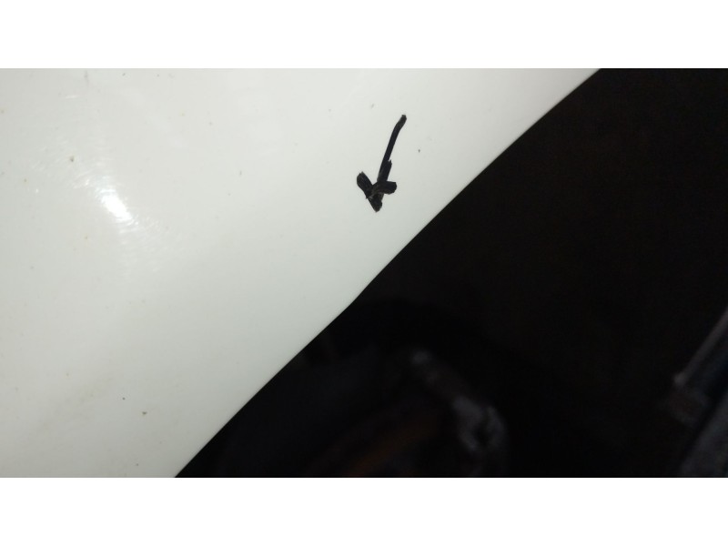 Recambio de aleta delantera izquierda para audi a4 b8 (8k2) 2.0 tdi referencia OEM IAM   