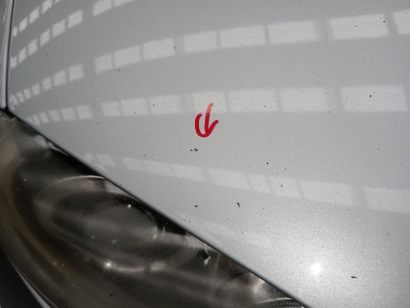 Recambio de capot para bmw 1 (e87) 118 d referencia OEM IAM   