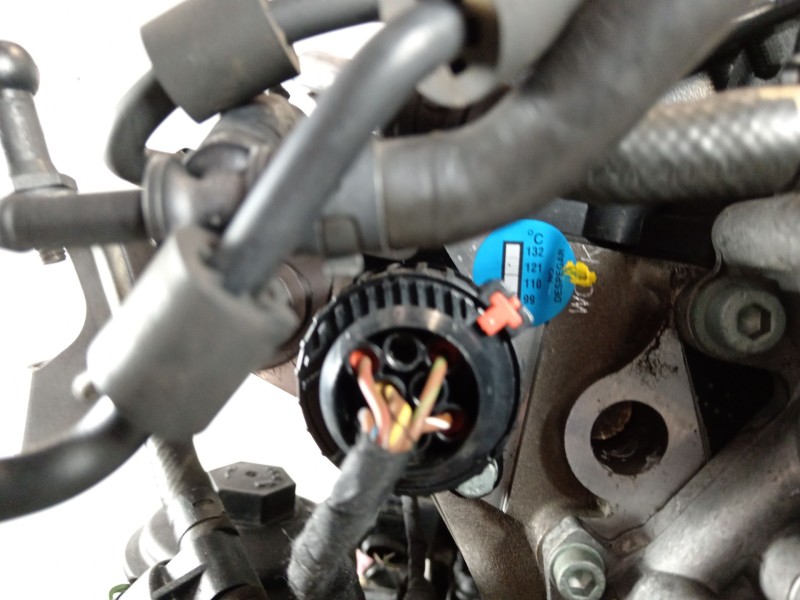 Recambio de motor completo para volkswagen golf v (1k1) 1.9 tdi referencia OEM IAM BKC  