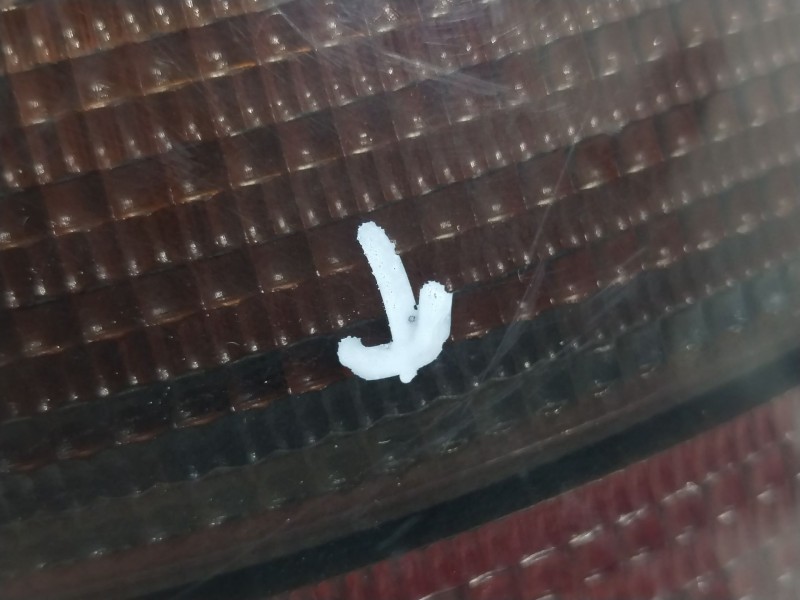 Recambio de piloto trasero derecho para volkswagen golf iv (1j1) 1.9 tdi referencia OEM IAM 1J6945096T 1J6945257 