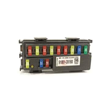 CAJA RELES / FUSIBLES 919513X160 